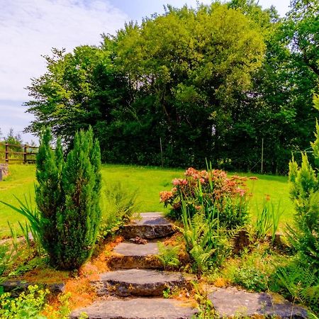 Lakeside Cottage Кармартен Экстерьер фото